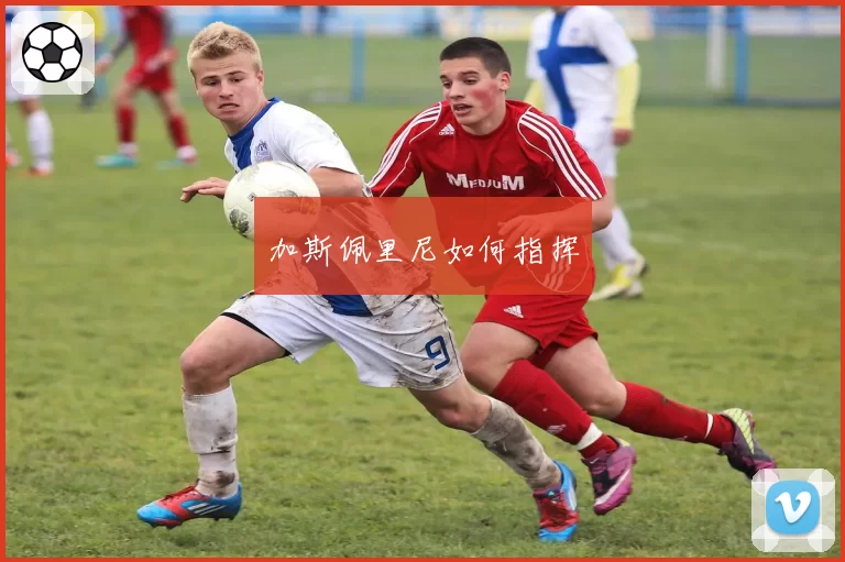 加斯佩里尼如何指挥