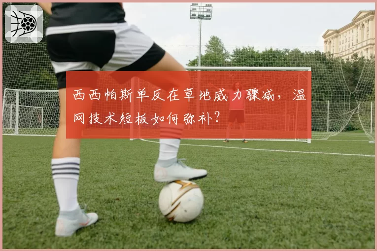 西西帕斯单反在草地威力骤减，温网技术短板如何弥补？
