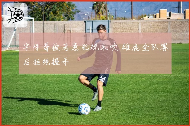 字母哥被恶意犯规未吹 雄鹿全队赛后拒绝握手