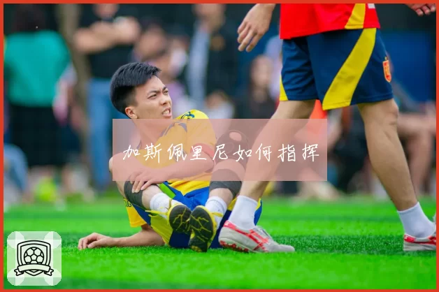 加斯佩里尼如何指挥